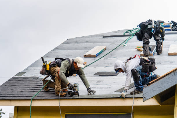 Professional Roof Installation technician working in Evansville, AR